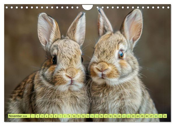 Produktbild: Kaninchen - Liebenswerte Fellb&auml;llchen (Wandkalender 2026 DIN A4 quer), CALVENDO Monatskalender