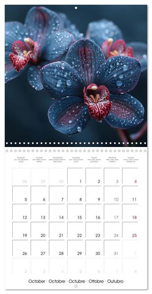 Produktbild: colorful orchid family planner (Wall Calendar 2026 12 &times; 12 Inch) CALVENDO 12 Month Wall Calendar