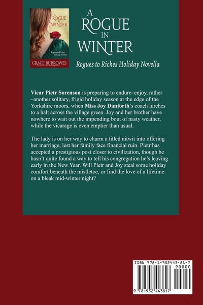 Produktbild: A Rogue in Winter