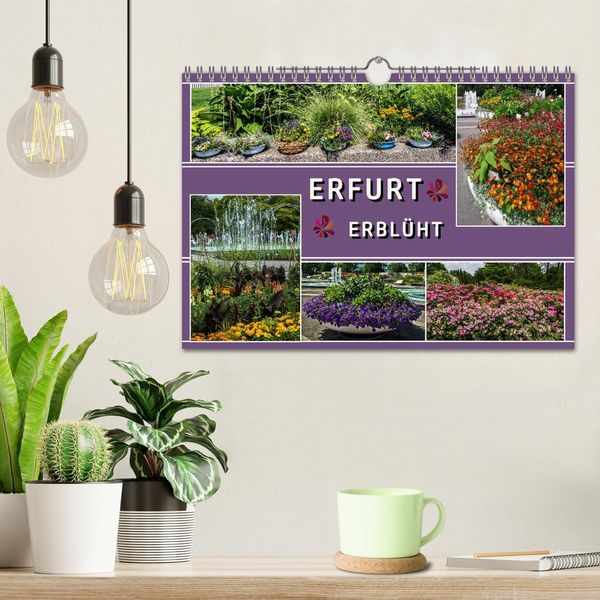 Produktbild: Erfurt erbl&uuml;ht (Wandkalender 2026 DIN A4 quer), CALVENDO Monatskalender