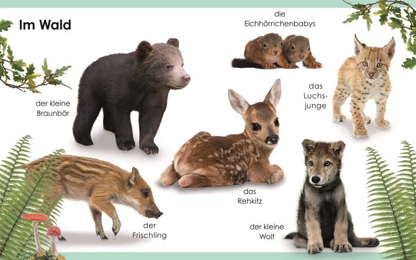 Produktbild: Erstes Lernen mini. Tierkinder