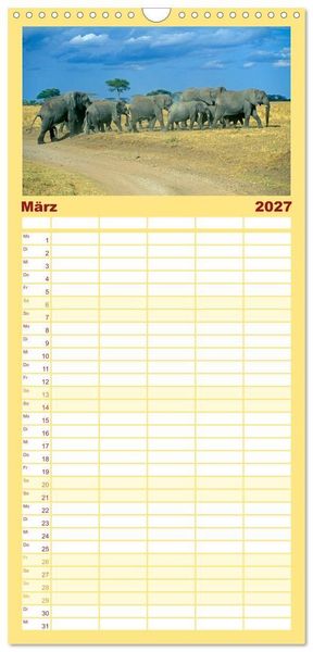 Produktbild: Familienplaner 2027 - Elefanten in der Serengeti mit 5 Spalten (Wandkalender, 21 x 45 cm) CALVENDO