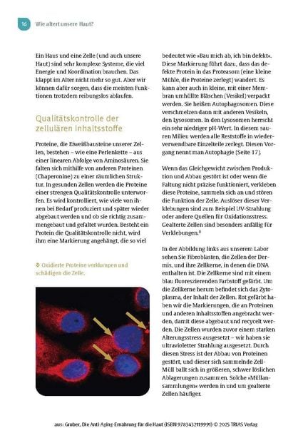 Produktbild: Die Anti-Aging-Ern&auml;hrung f&uuml;r die Haut