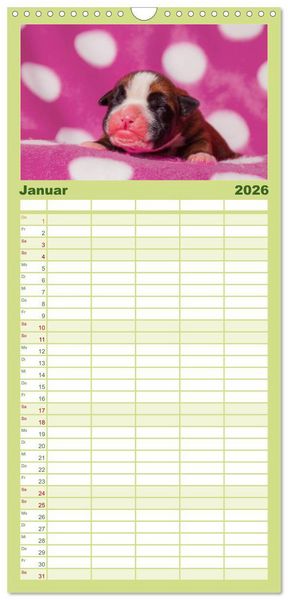 Produktbild: Familienplaner 2026 - Wenn ich gro&szlig; bin werd' ich Boxer mit 5 Spalten (Wandkalender, 21 x 45 cm) CALVENDO