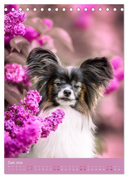 Produktbild: Flora Canidae - der Hunde-Bl&uuml;hpflanzen-Kalender (Tischkalender 2026 DIN A5 hoch), CALVENDO Monatskalender