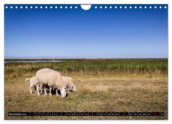 Produktbild: Insel Fehmarn - Impressionen eines Sommertages an der Ostsee (Wandkalender 2026 DIN A4 quer), CALVENDO Monatskalender