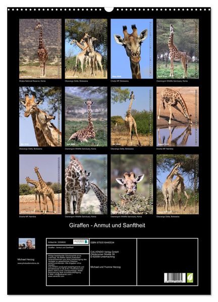 Produktbild: Giraffen - Anmut und Sanftheit (Wandkalender 2026 DIN A2 hoch), CALVENDO Monatskalender