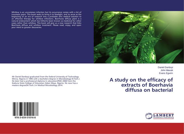 Produktbild: Boerhavia diffusa plant and whitlow treatment