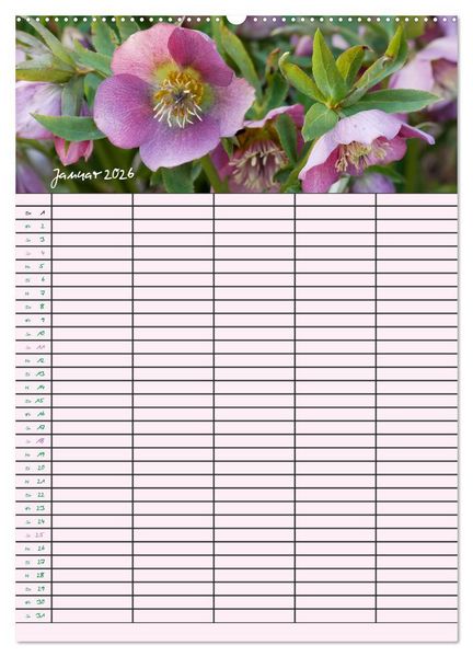 Produktbild: Kleine Natursch&ouml;nheiten (hochwertiger Premium Wandkalender 2026 DIN A2 hoch), Kunstdruck in Hochglanz