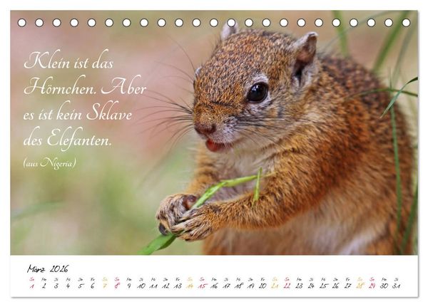 Produktbild: AFRIKA - Kontinent der Poesie (Tischkalender 2026 DIN A5 quer), CALVENDO Monatskalender