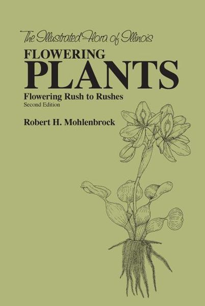 Produktbild: Mohlenbrock, R: The Flowering Plants: Flowering Rush to Rus