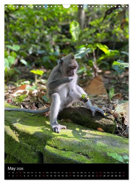 Produktbild: Mysterious Bali (Wall Calendar 2026 DIN A3 portrait), CALVENDO 12 Month Wall Calendar