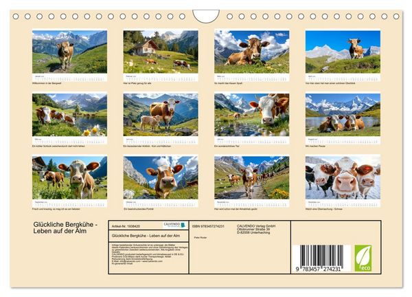 Produktbild: Gl&uuml;ckliche Bergk&uuml;he - Leben auf der Alm (Wandkalender 2026 DIN A4 quer), CALVENDO Monatskalender