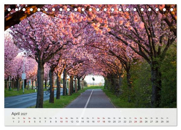 Produktbild: Magdeburg - Elbe, Dom... und noch viel mehr! (Tischkalender 2027 DIN A5 quer), CALVENDO Monatskalender