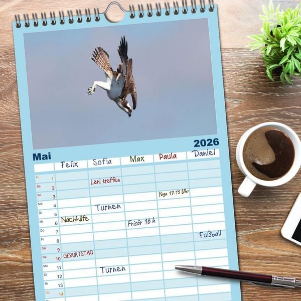 Produktbild: Familienplaner 2026 - Fischadler - Meister des Sturzfluges mit 5 Spalten (Wandkalender, 21 x 45 cm) CALVENDO