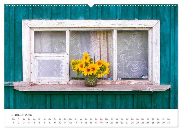 Produktbild: Sonnenblumen - Erstrahlen im freundlichen Gelb. (hochwertiger Premium Wandkalender 2026 DIN A2 quer), Kunstdruck in Hochglanz