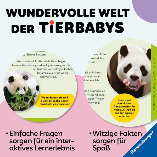 Produktbild: National Geographic Kids - Die tollsten Tierbabys aus aller Welt