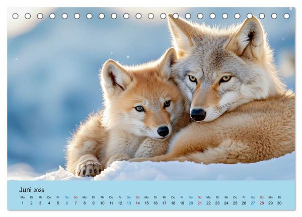 Produktbild: Tierkinder in Eis und Schnee (Tischkalender 2026 DIN A5 quer), CALVENDO Monatskalender