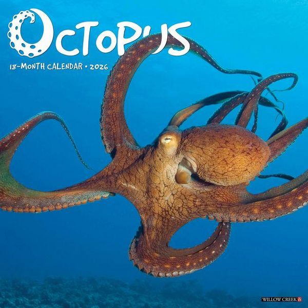 Produktbild: Octopus 2026 Wall Calendar