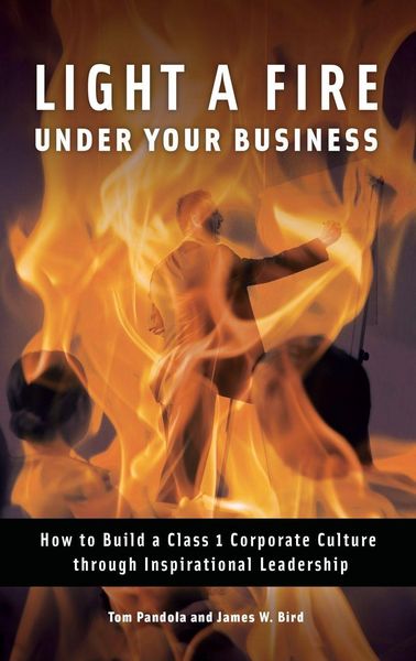 Produktbild: Light a Fire Under Your Business