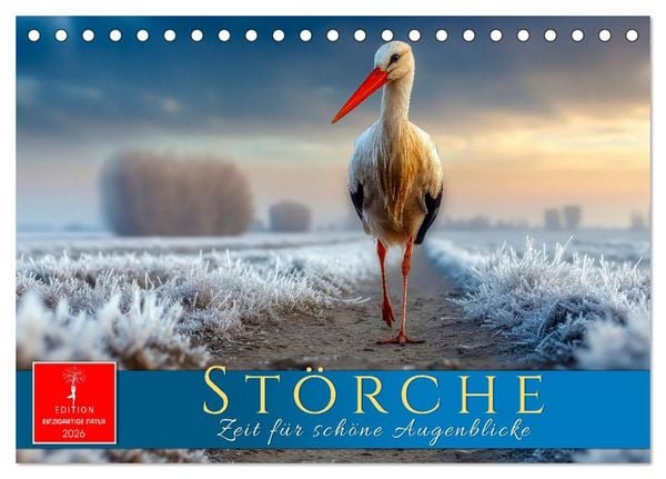 Produktbild: St&ouml;rche - Zeit f&uuml;r sch&ouml;ne Augenblicke (Tischkalender 2026 DIN A5 quer), CALVENDO Monatskalender