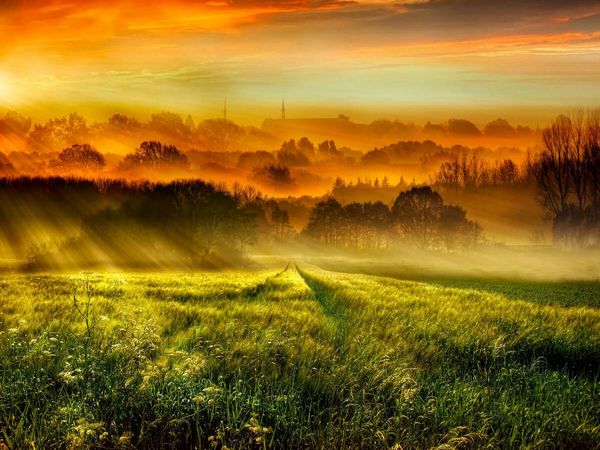 Produktbild: CALVENDO Puzzle Sonnenaufgang &uuml;ber dem Getreidefeld | 1000 Teile Lege-Gr&ouml;&szlig;e 64x48cm Foto-Puzzle f&uuml;r gl&uuml;ckliche Stunden