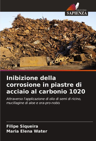 Produktbild: Inibizione della corrosione in piastre di acciaio al carbonio 1020