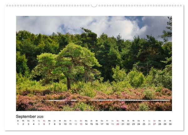 Produktbild: Steinhuder Meer Impressionen (Wandkalender 2026 DIN A2 quer), CALVENDO Monatskalender