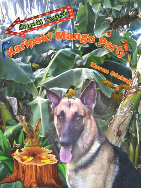 Produktbild: Karipski Mango Party