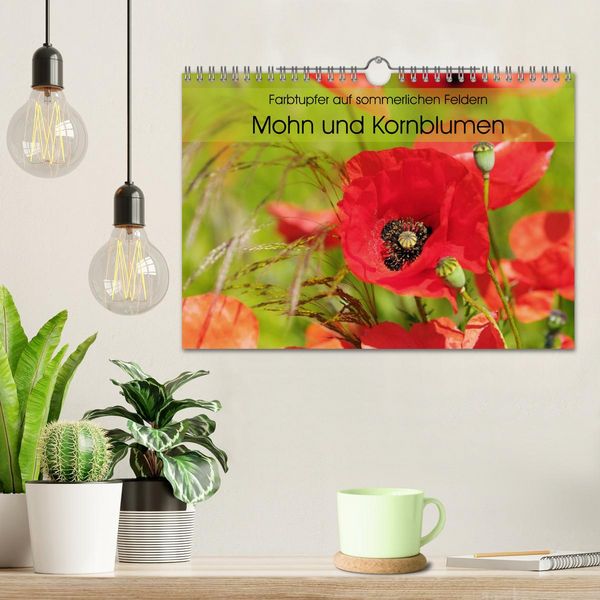 Produktbild: Farbtupfer auf sommerlichen Feldern - Mohn und Kornblumen (Wandkalender 2026 DIN A4 quer), CALVENDO Monatskalender