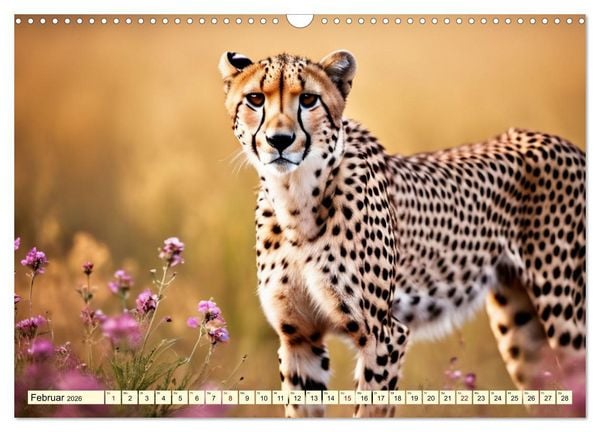 Produktbild: Geparden - die schnellsten J&auml;ger der Welt (Wandkalender 2026 DIN A3 quer), CALVENDO Monatskalender
