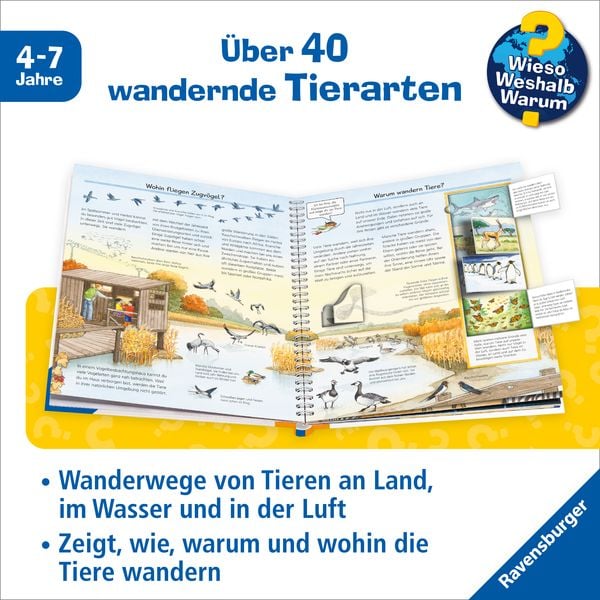 Produktbild: Wieso? Weshalb? Warum? Band 37 - Alles &uuml;ber Tierwanderungen