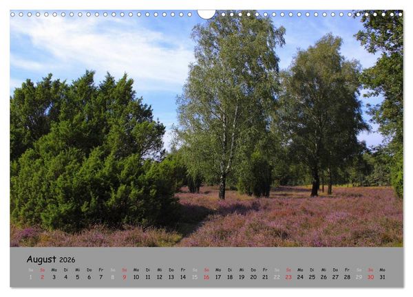 Produktbild: L&uuml;neburger Heide - sch&ouml;n zu jeder Jahreszeit (Wandkalender 2026 DIN A3 quer), CALVENDO Monatskalender