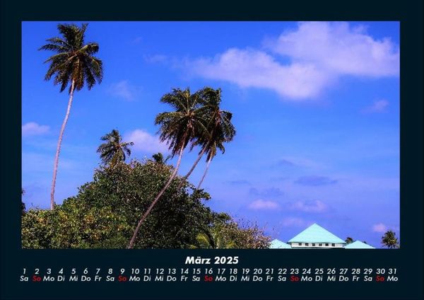 Produktbild: Palmentraum 2025 Fotokalender DIN A4