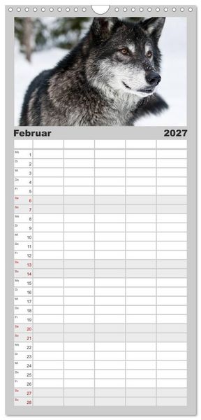 Produktbild: Familienplaner 2027 - W&ouml;lfe. Graue Eminenzen mit 5 Spalten (Wandkalender, 21 x 45 cm) CALVENDO