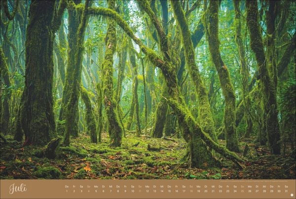 Produktbild: Zauberw&auml;lder Edition Kalender 2027