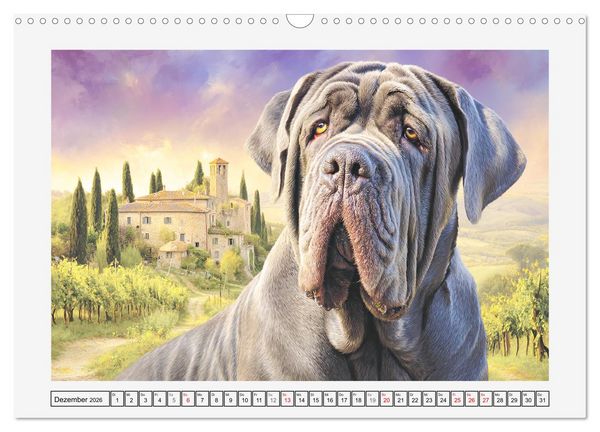Produktbild: Mastino Napoletano. Die gelassenen Molosser mit antiken Vorfahren (Wandkalender 2026 DIN A3 quer), CALVENDO Monatskalender
