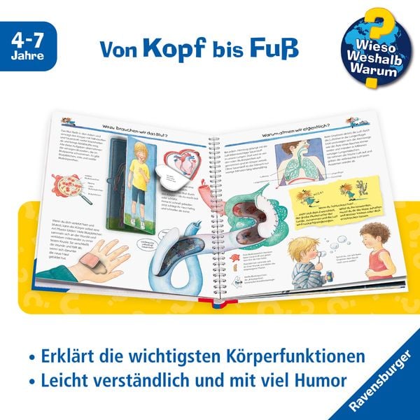 Produktbild: Wieso? Weshalb? Warum? Kernreihe, Band 1 - Wir entdecken unseren K&ouml;rper