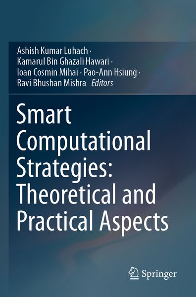 Produktbild: Smart Computational Strategies: Theoretical and Practical Aspects