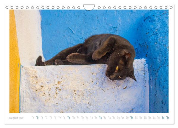 Produktbild: Cats of the Greek Islands (Wall Calendar 2026 DIN A4 landscape), CALVENDO 12 Month Wall Calendar