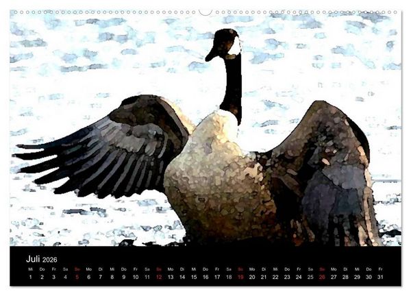 Produktbild: Neufundland entdecken (hochwertiger Premium Wandkalender 2026 DIN A2 quer), Kunstdruck in Hochglanz