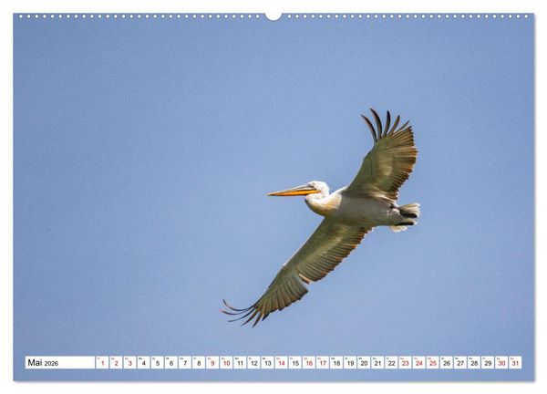 Produktbild: Vogelparadies Volvi-See (hochwertiger Premium Wandkalender 2026 DIN A2 quer), Kunstdruck in Hochglanz
