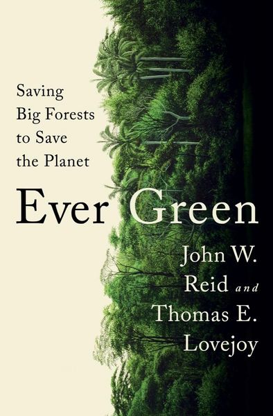 Produktbild: Ever Green