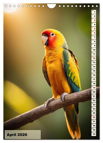 Produktbild: Colourful birds (Wall Calendar 2026 DIN A4 portrait), CALVENDO 12 Month Wall Calendar