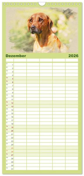 Produktbild: Familienplaner 2026 - Rhodesian Ridgeback 2026 mit 5 Spalten (Wandkalender, 21 x 45 cm) CALVENDO