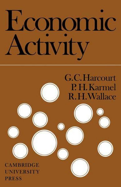 Produktbild: Economic Activity