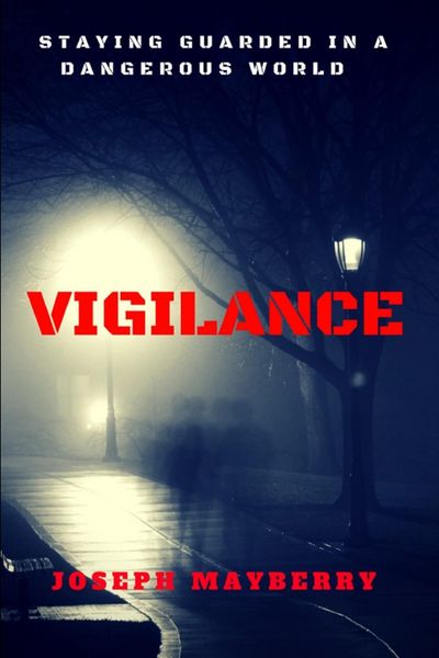 Produktbild: Vigilance