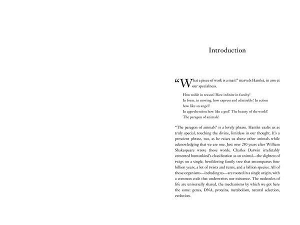 Produktbild: The Book of Humans