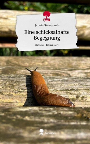 Produktbild: Eine schicksalhafte Begegnung. Life is a Story - story.one