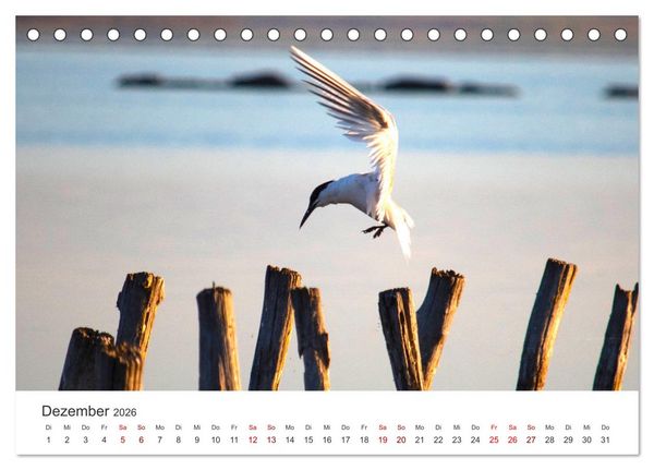 Produktbild: Bulgarien - Eine Reise zum Schwarzen Meer. (Tischkalender 2026 DIN A5 quer), CALVENDO Monatskalender